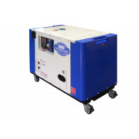 Дизельный сварочный генератор TSS DGW-300ES